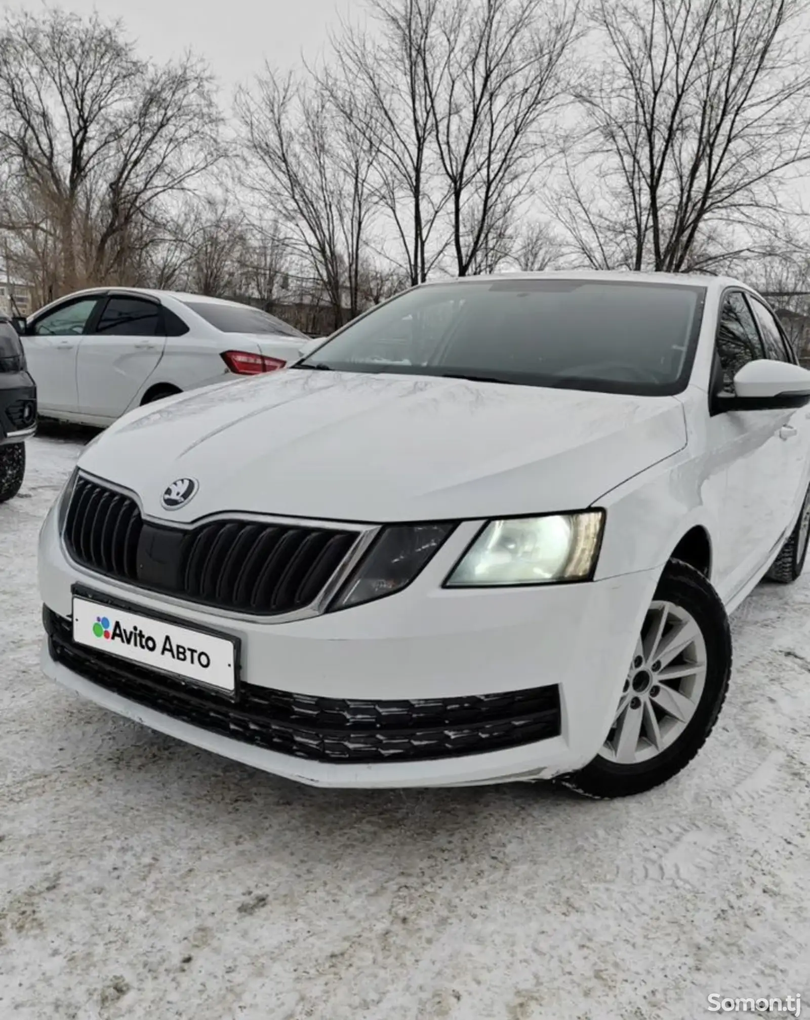 Skoda Octavia, 2017-1