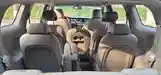 Kia Carnival, 2015-12