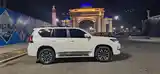 Toyota Land Cruiser Prado, 2022-3