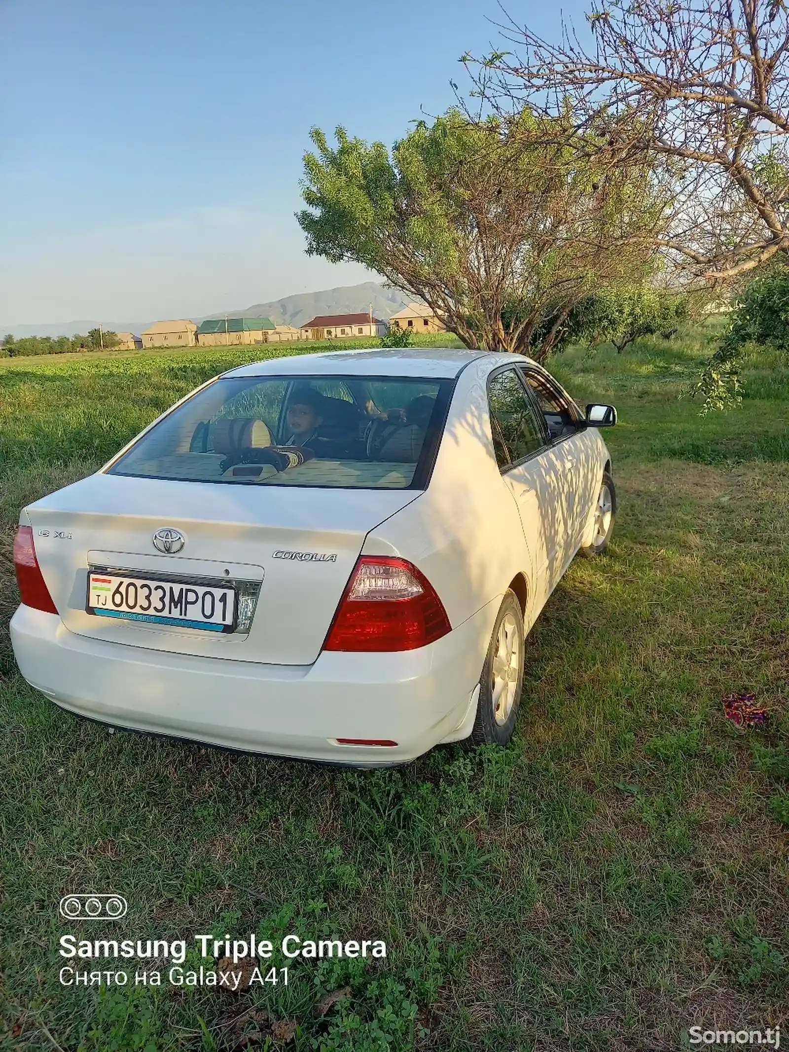 Toyota Corolla, 2007-2