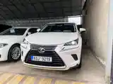 Lexus NX series, 2019-14