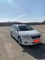 Toyota Fielder, 2007-3