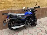 Мотоцикл-GLX-Suzuki 200 куба-5