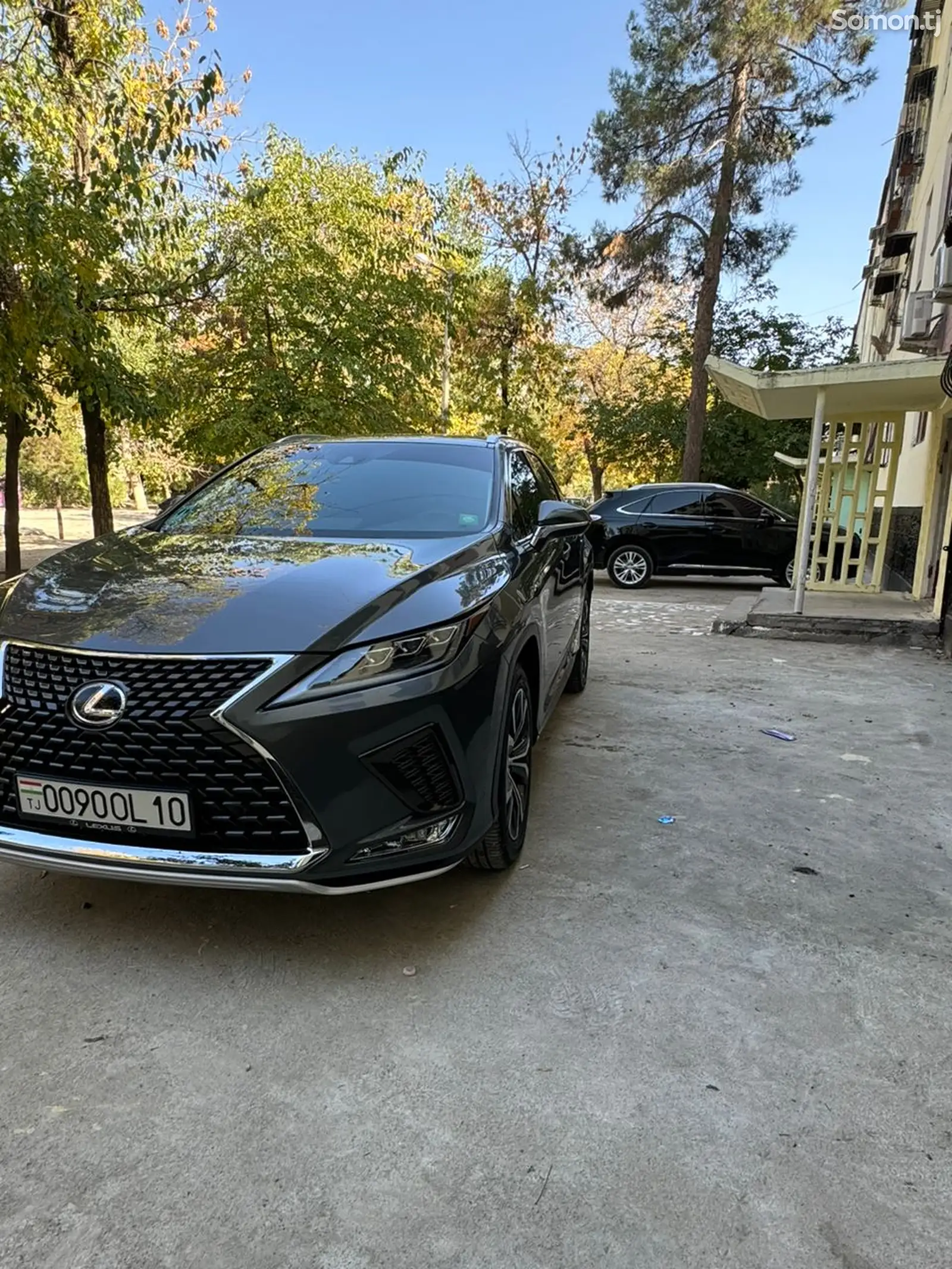 Lexus RX series, 2019-8