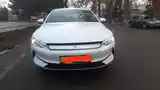 BYD Qin Plus, 2023-4