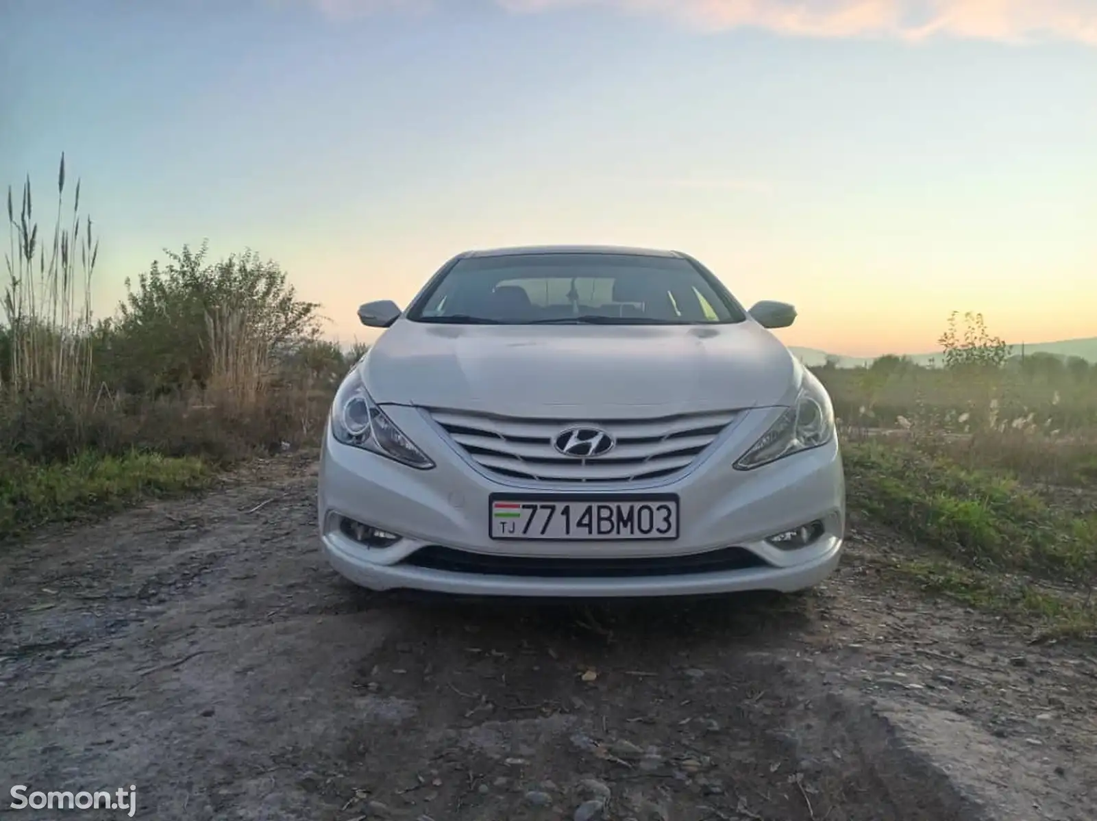 Hyundai Sonata, 2011-1