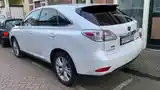 Lexus RX series, 2010-8