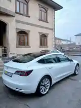 Tesla Model 3, 2020-2