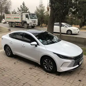 BYD Destroyer, 2024