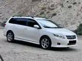 Toyota Fielder, 2007-3