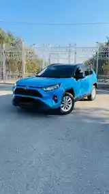 Toyota RAV 4, 2019-11