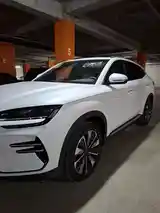 BYD Song Plus Flagship, 2024-3