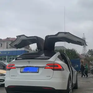 Tesla Model X, 2018