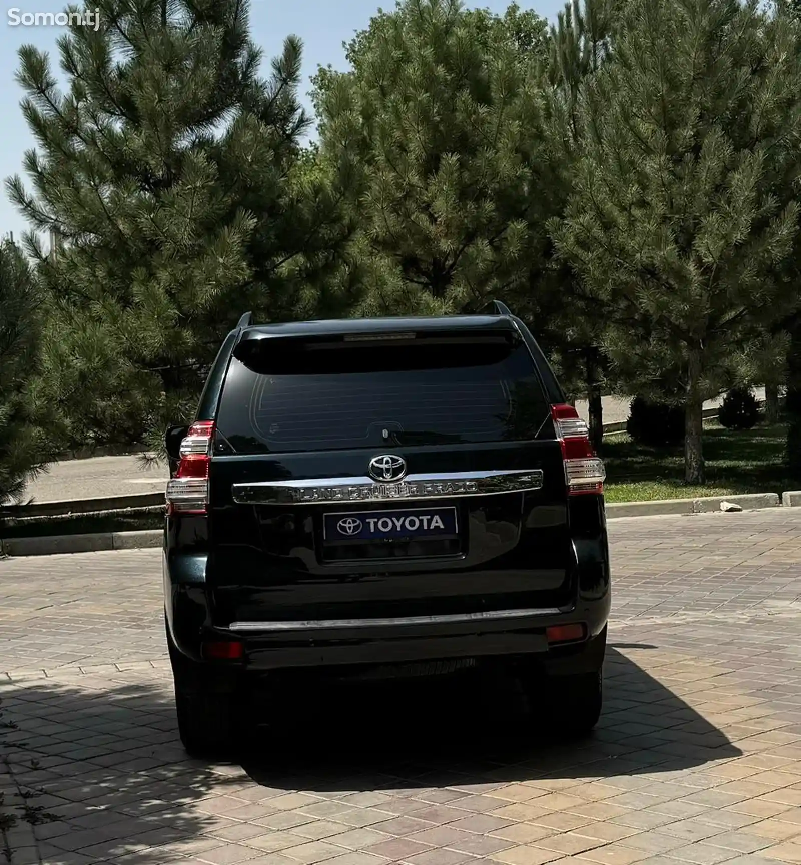 Toyota Land Cruiser Prado, 2010-6