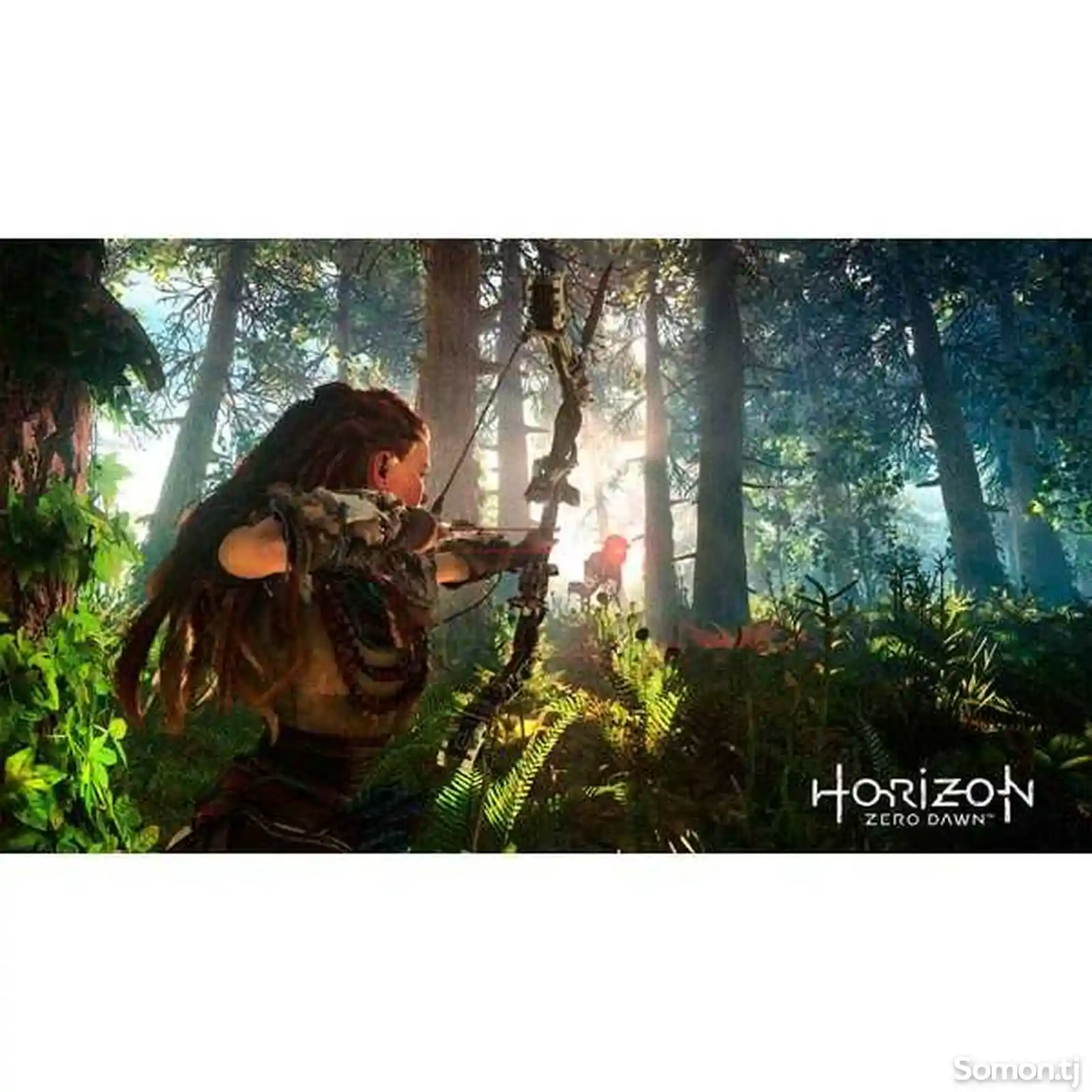 Игра Horizon Zero Dawn на Sony PS4-2