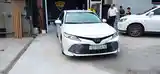 Toyota Camry, 2018-9