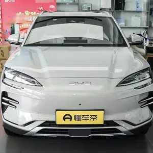 BYD Song Plus Flagship, 2024