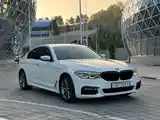 BMW 5 series, 2017-4