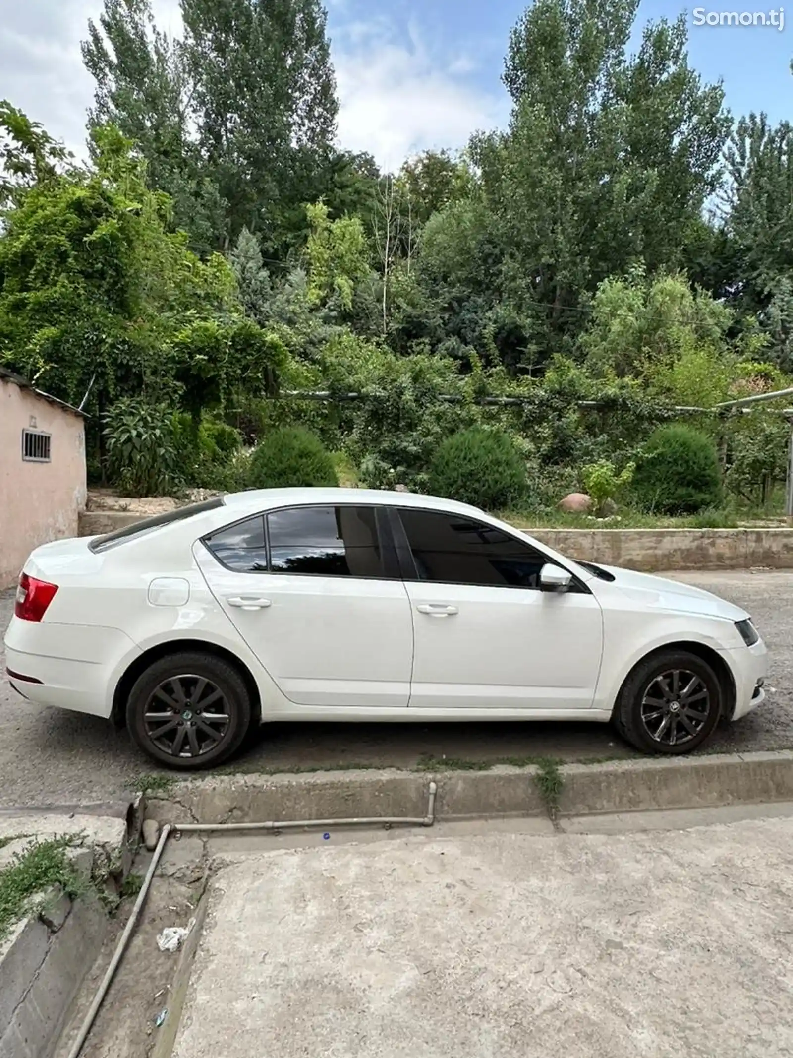 Skoda Octavia, 2019-7