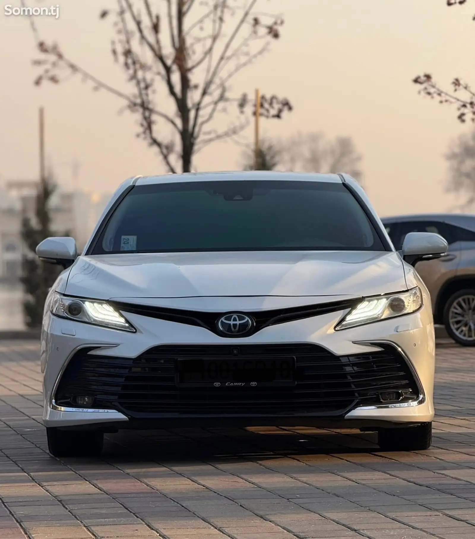 Toyota Camry, 2020-1