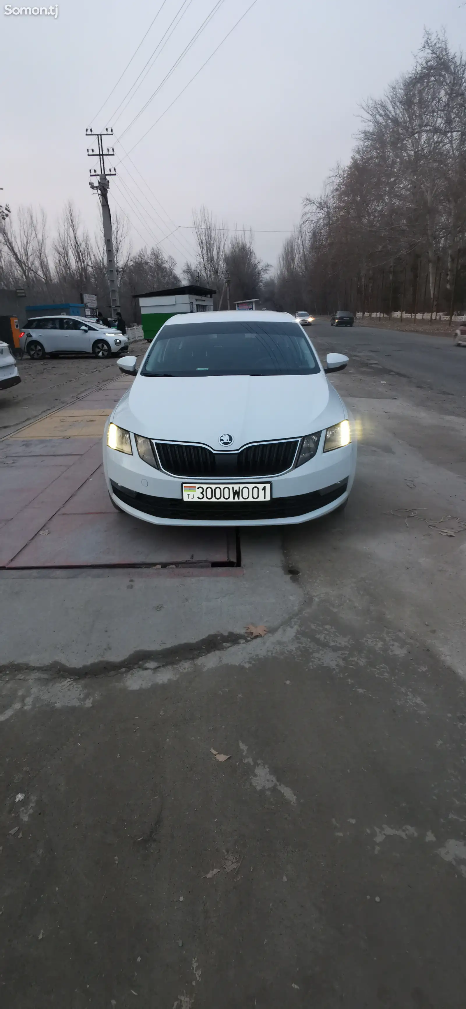 Skoda Octavia, 2019-1