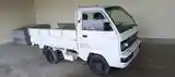 Бортовой автомобиль Daewoo labo, 1999-3