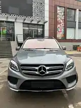 Mercedes-Benz GLE class, 2016-3