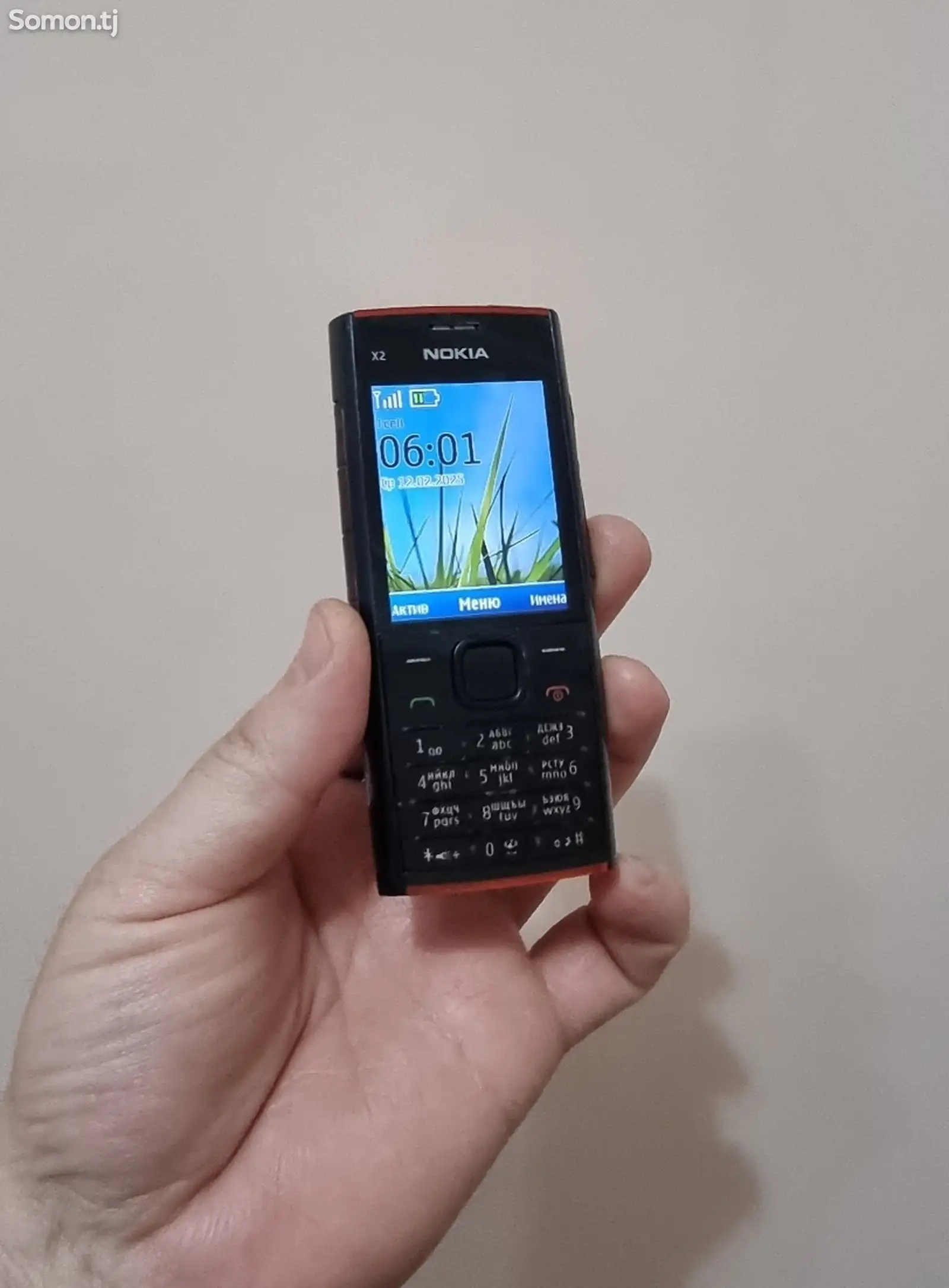 Nokia X2-1