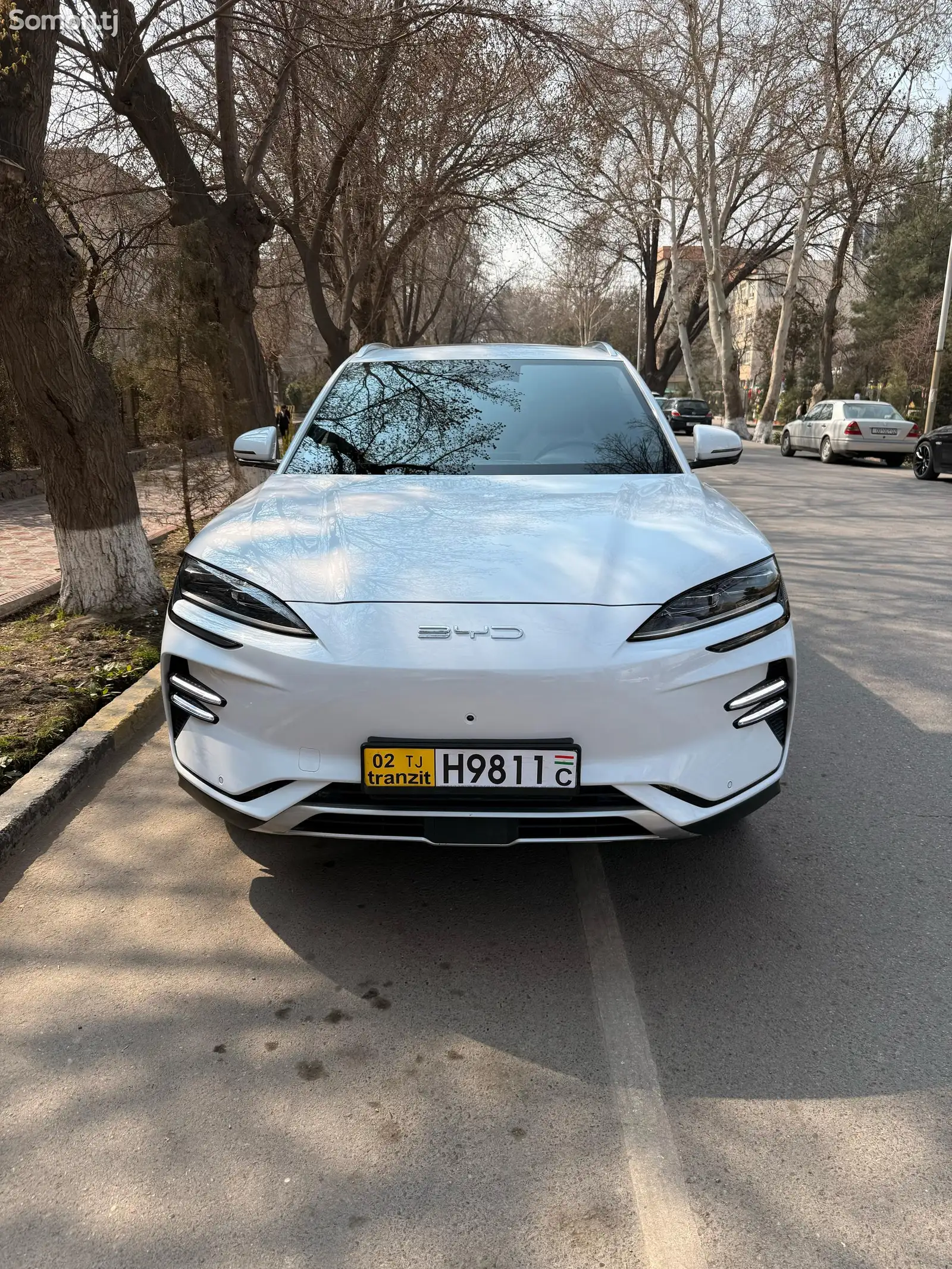 BYD Song Plus Flagship, 2023-1