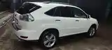 Lexus RX series, 2009-9