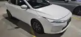 BYD E2, 2020-2