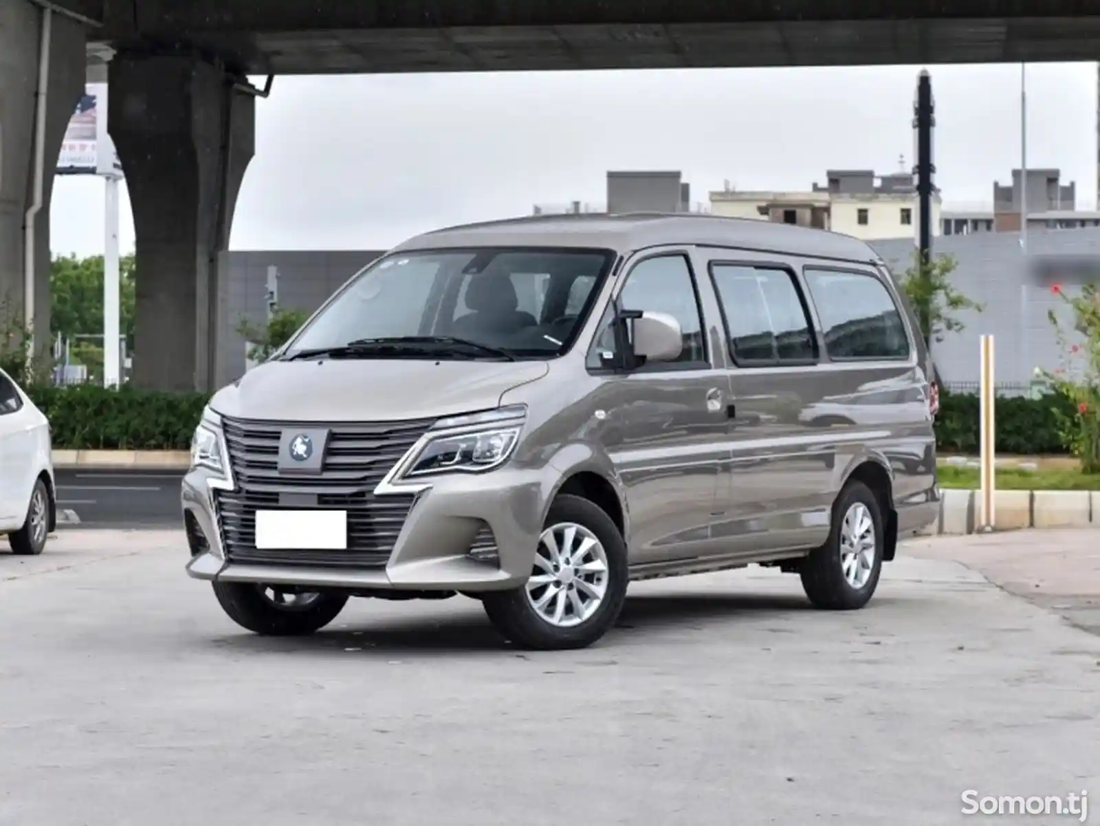 Dongfeng Lingzhi, 2024-1