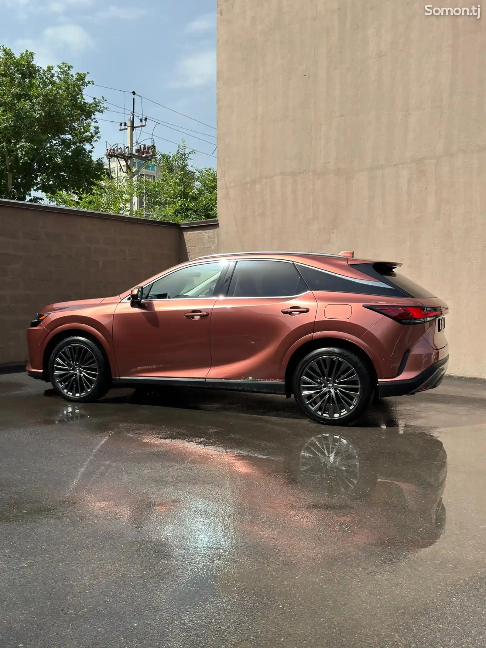 Lexus RX series, 2024-8