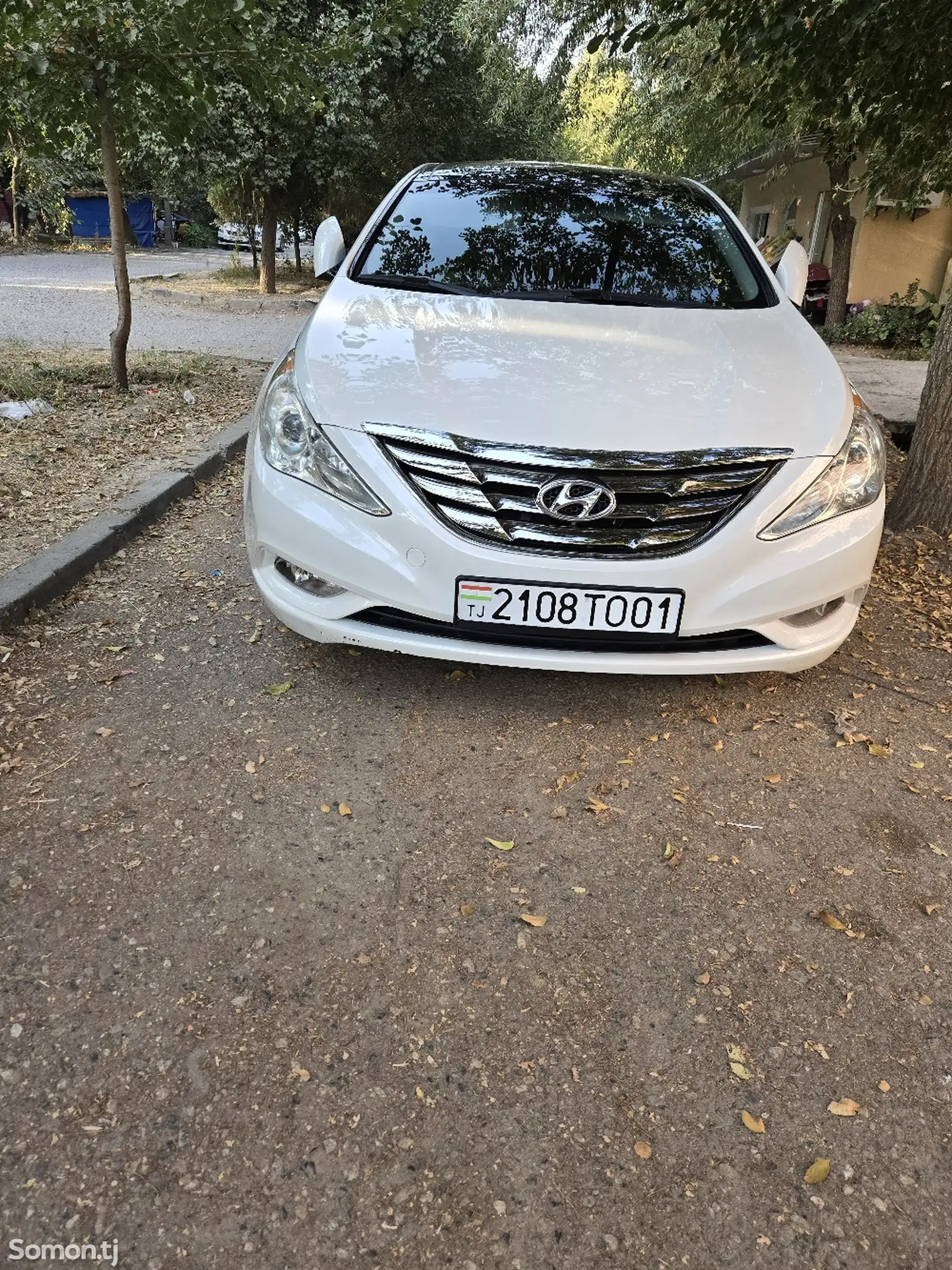 Hyundai Sonata, 2010-1