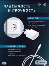 Зарядка от Apple Lightning-2