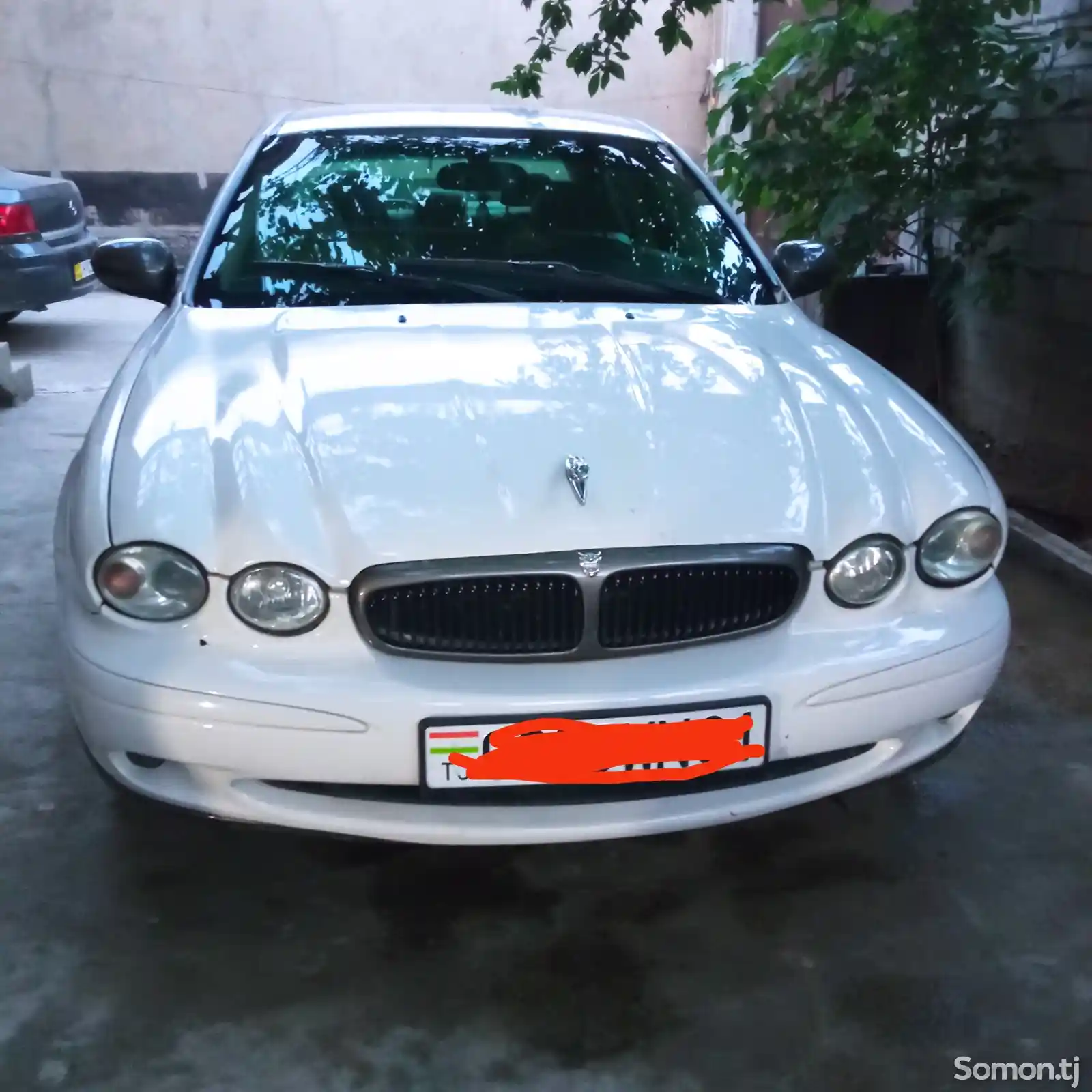Jaguar, 2008-1