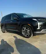 Hyundai Palisade, 2024-6