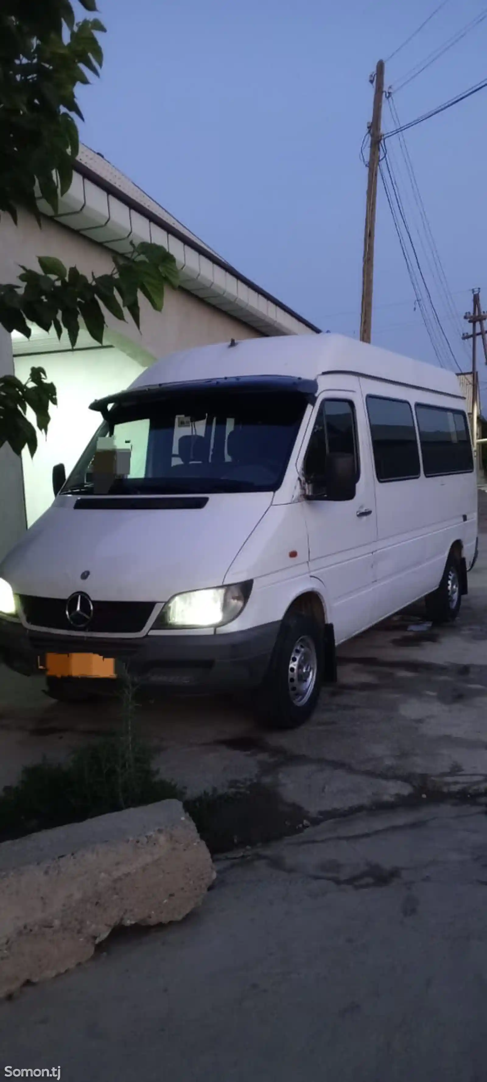 Микроавтобус Mercedes -benz sprinter, 2004-3