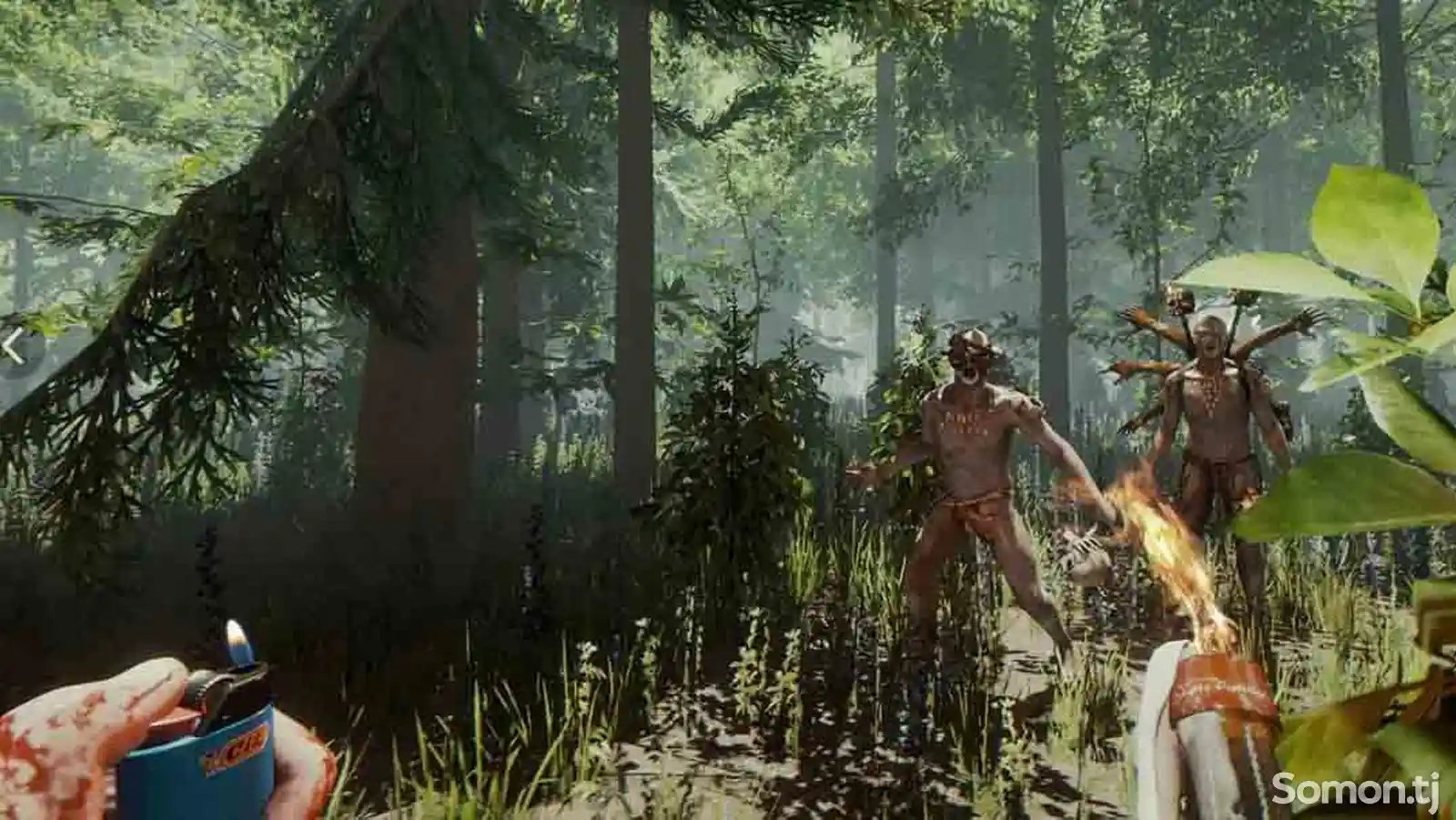 Игра The forest для PS-4 / 5.05 / 6.72 / 7.02 / 7.55 / 9.00 / 11.00 /-2