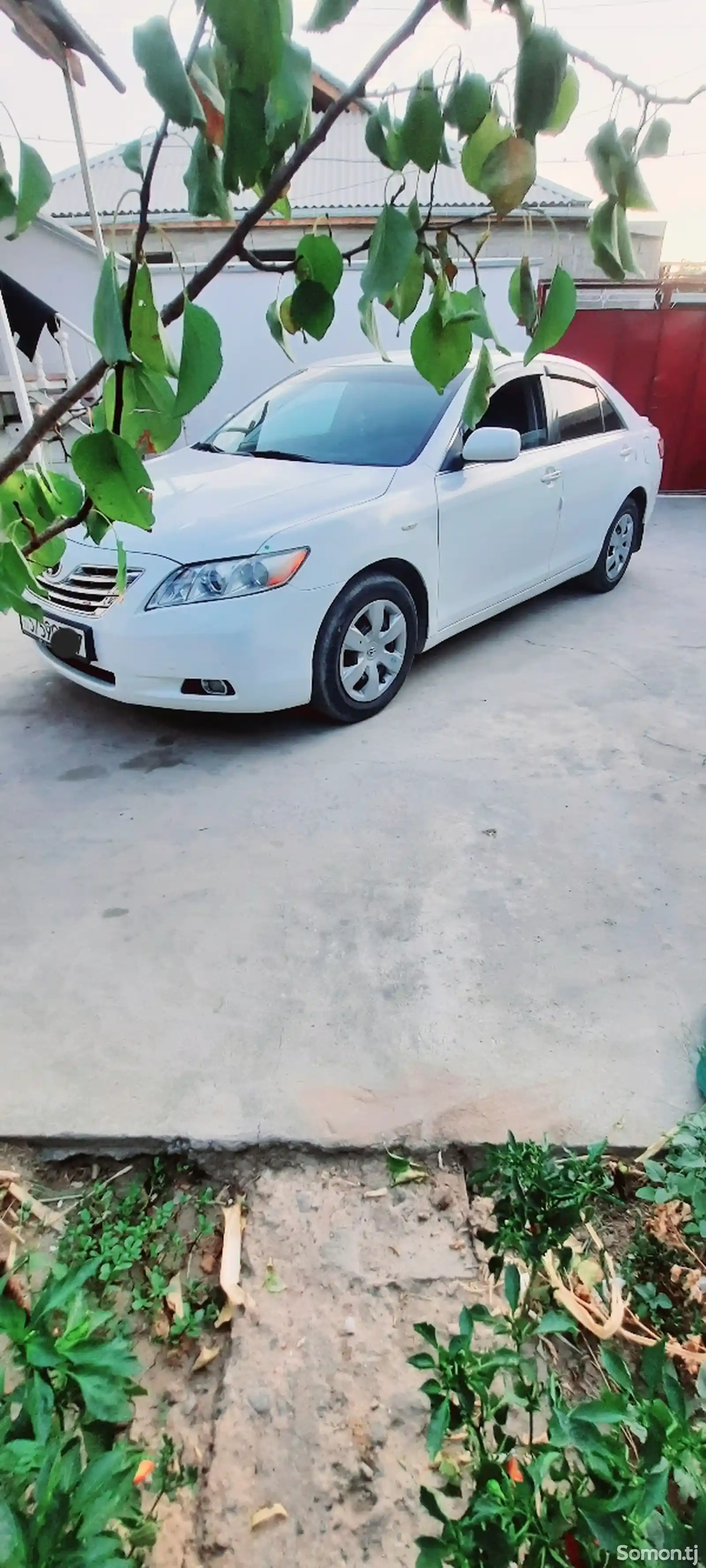 Toyota Camry, 2009-5