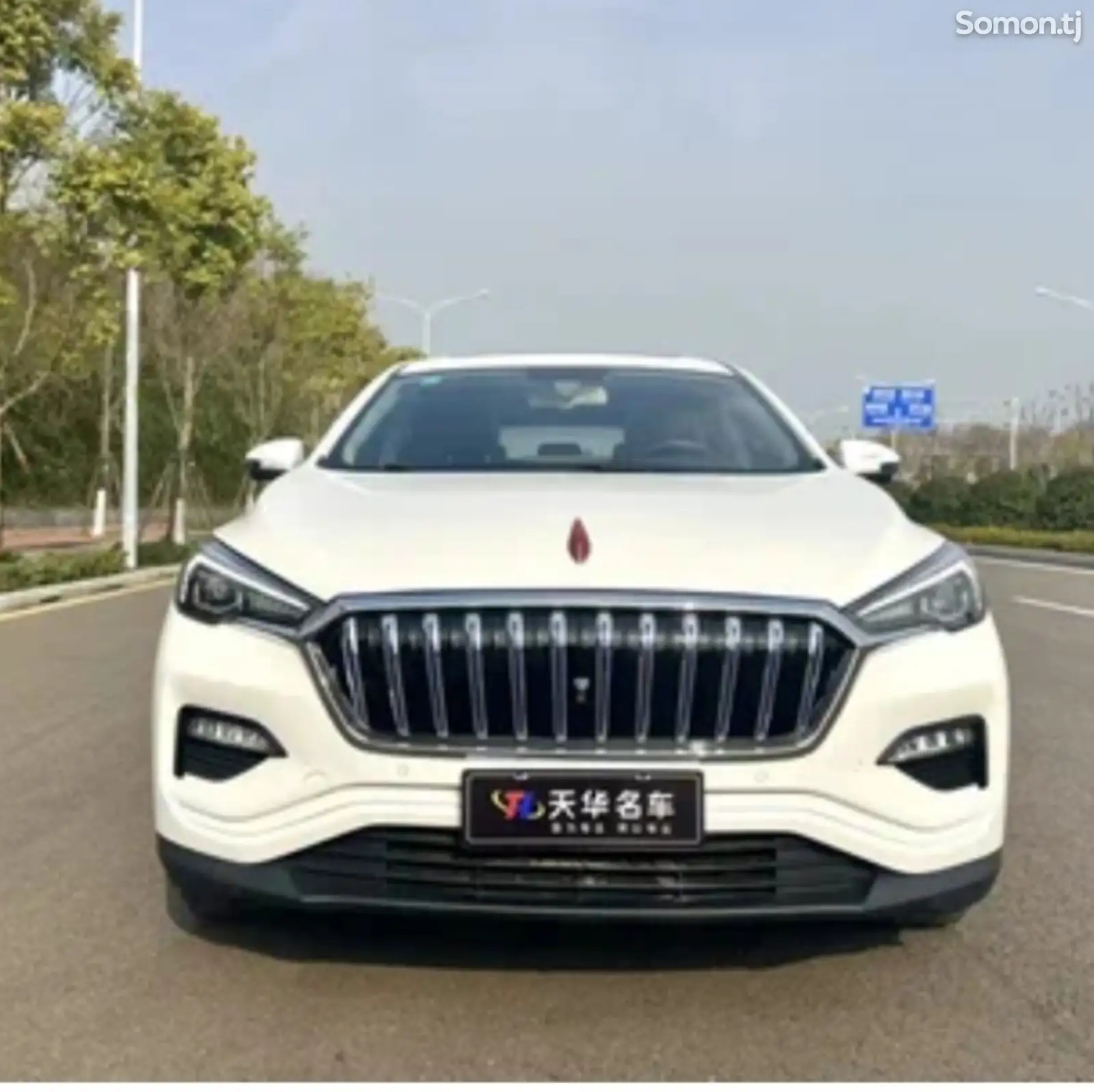 Hongqi E-HS3, 2019-1