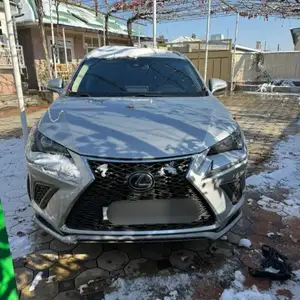 Lexus NX series, 2018