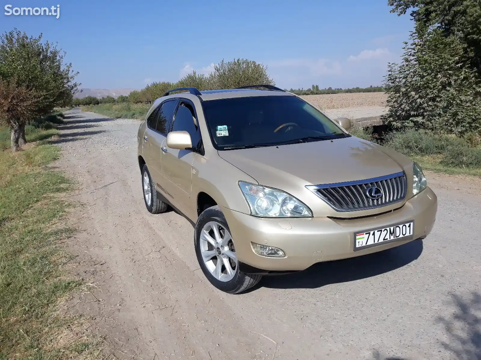 Lexus RX series, 2009-1