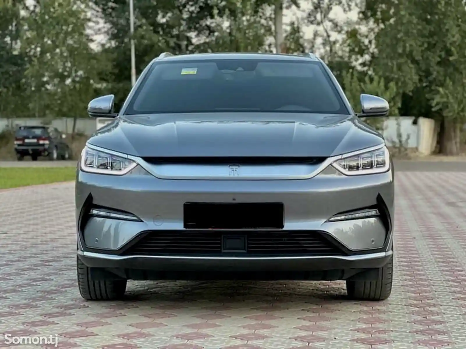 BYD Song Plus Flagship, 2023-4