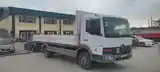 Грузовик Mercedes Benz atego 817, 2006-3