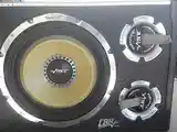 Сабвуфер vibe 1600 watts-3