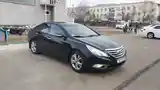 Hyundai Sonata, 2011-5