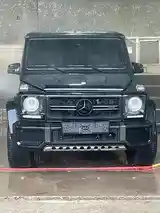 Mercedes-Benz G class, 2013-4