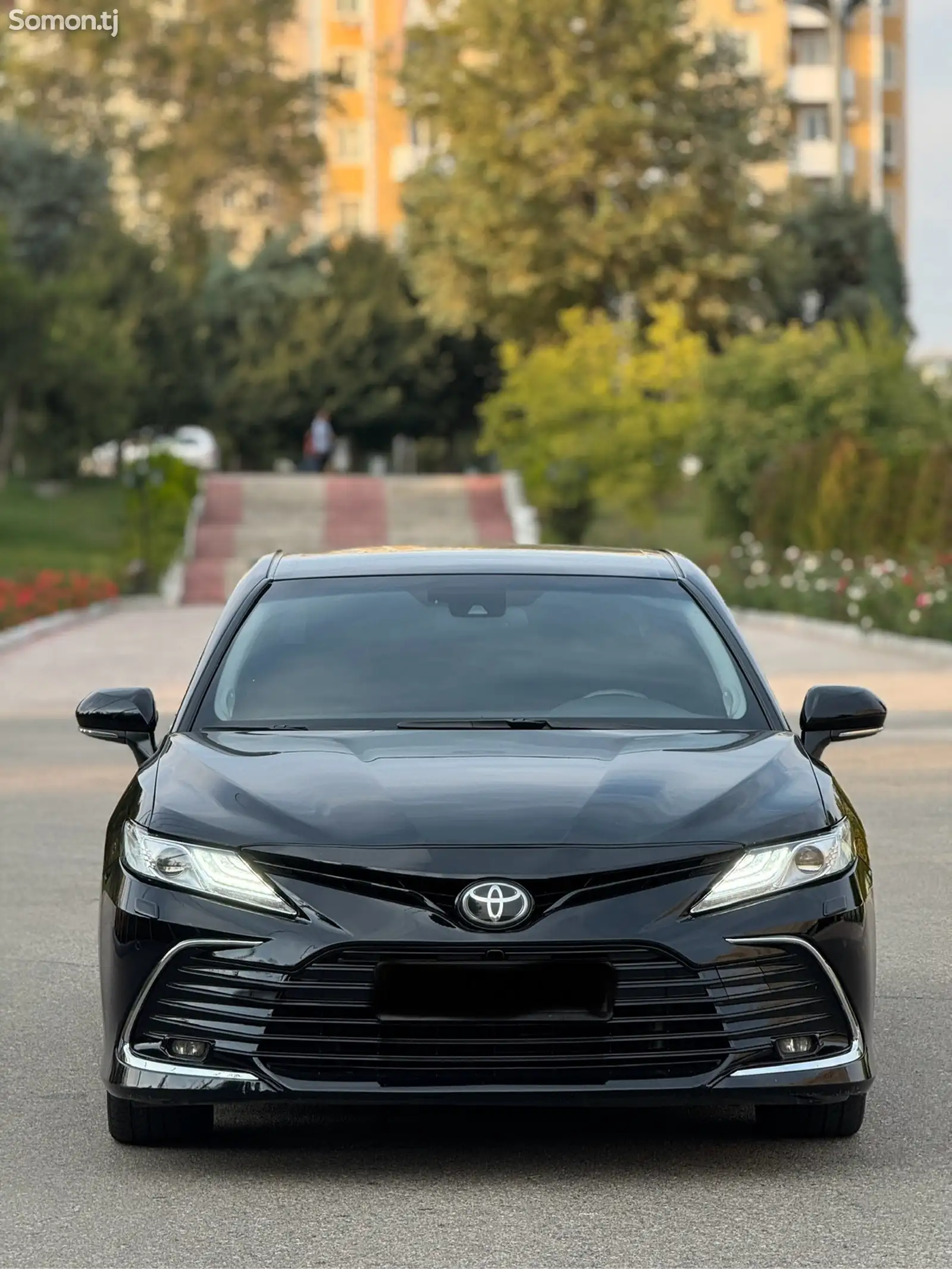 Toyota Camry, 2019-1