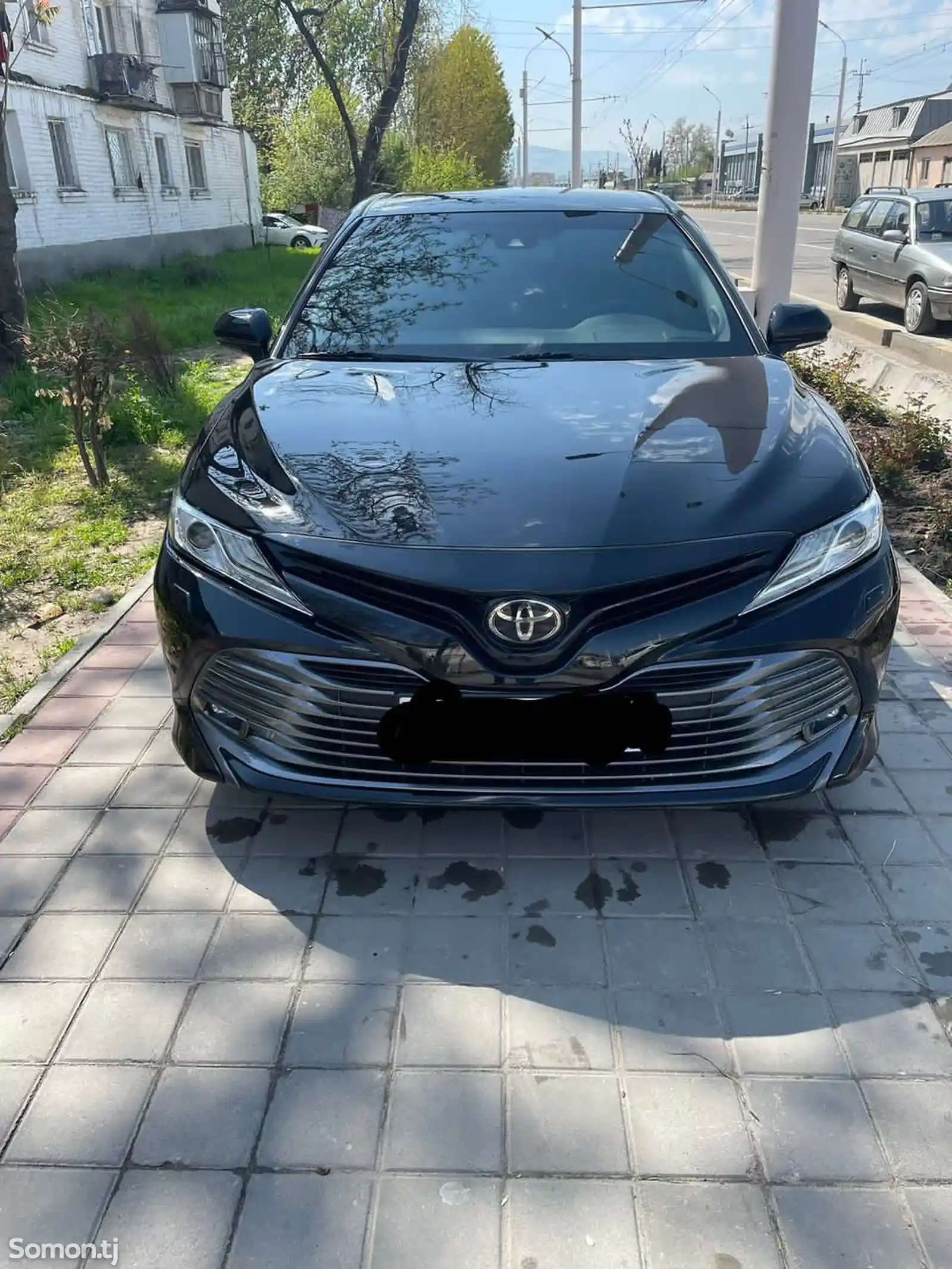 Toyota Camry, 2019-1